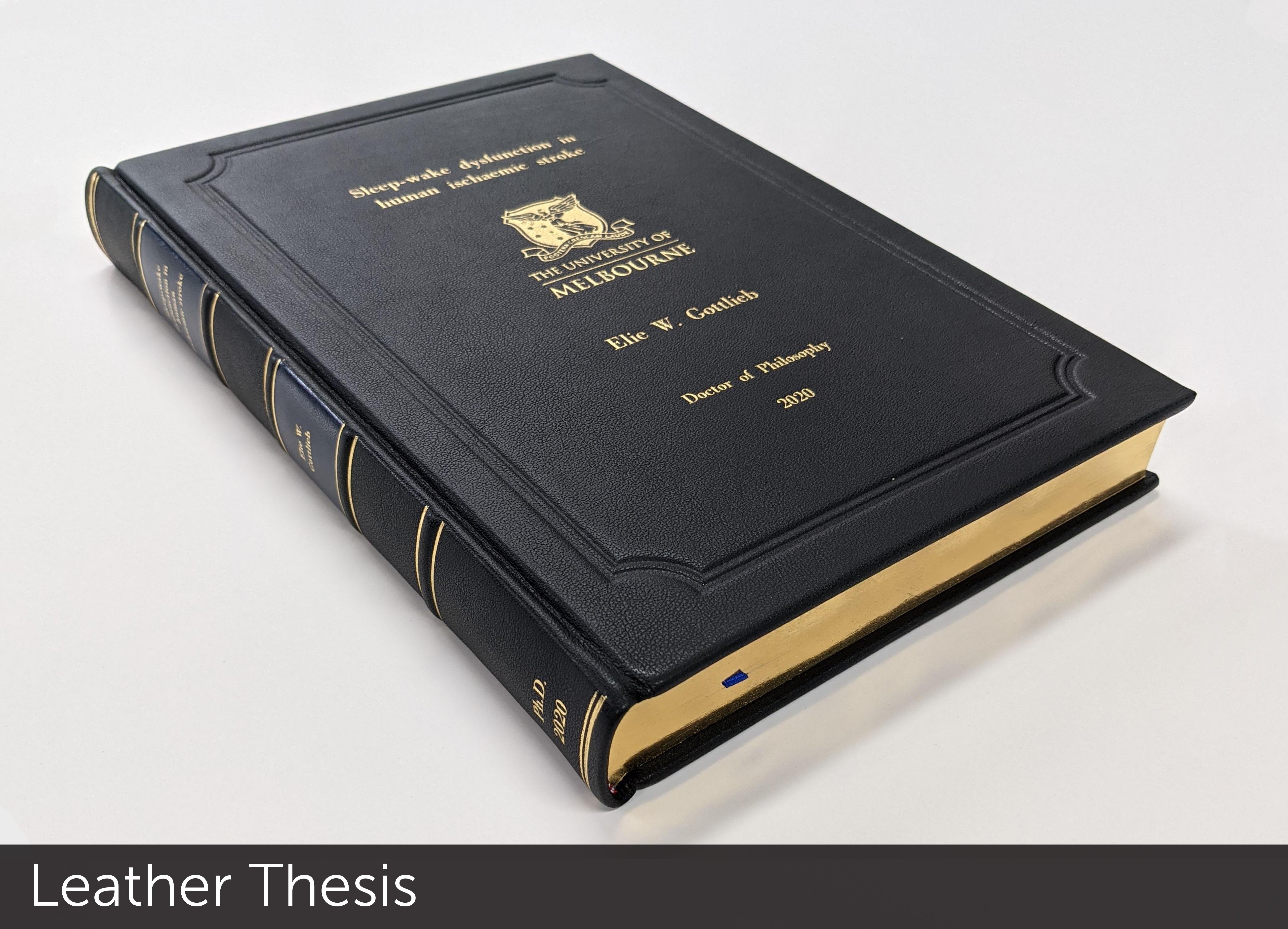 Dissertation and thesis database book