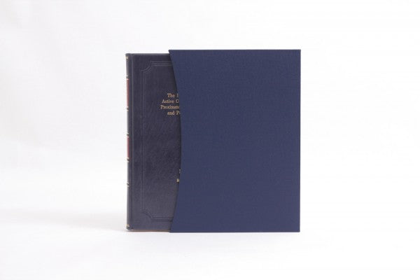 Leather Thesis boxed sets