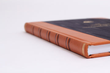 The Australian Constitution